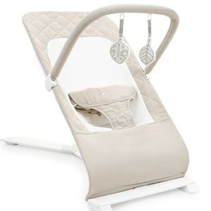 Baby Delight Alpine Bouncer Oat Color